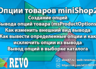 Опции товаров miniShop2