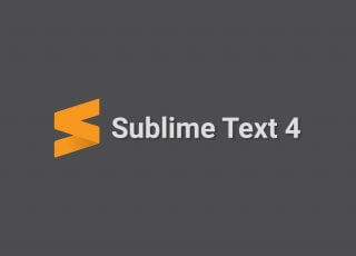 subline text 4