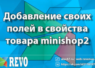 Добавление своих полей в свойства товара minishop2